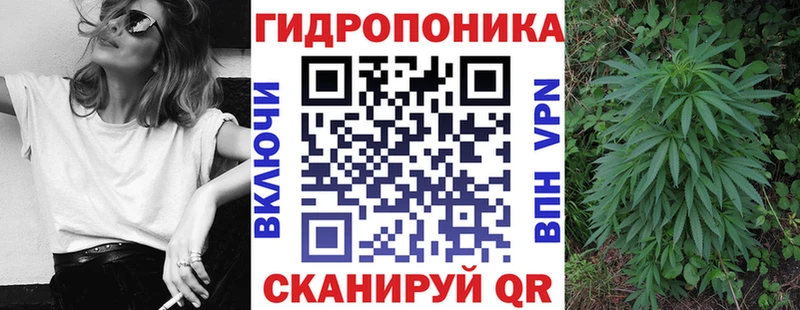 Шишки марихуана марихуана Кирово-Чепецк